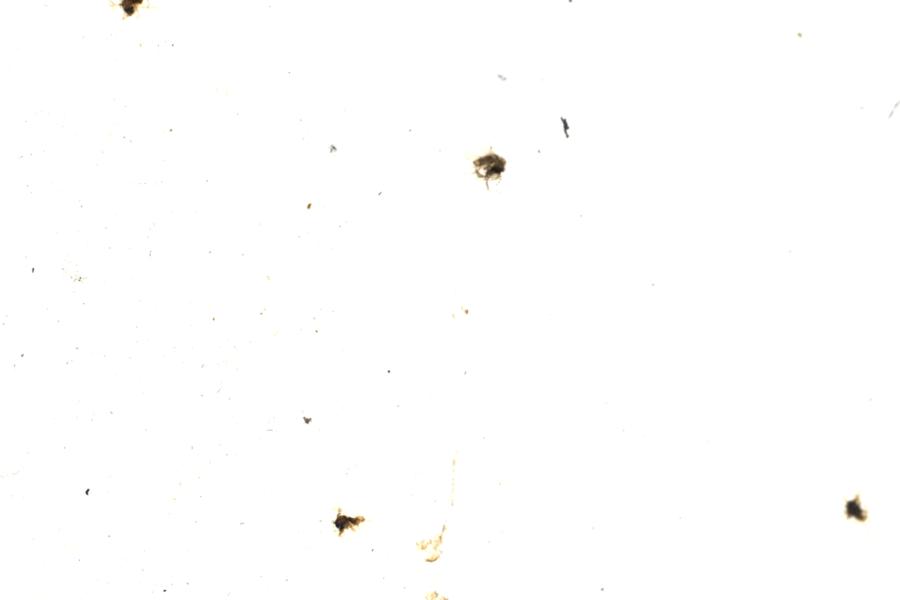 Image 130